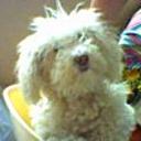 Millie