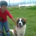 siguiente
