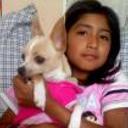 siguiente