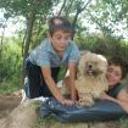 siguiente