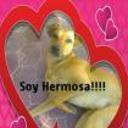 siguiente