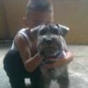 siguiente