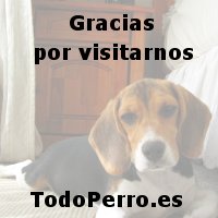 Gracias por tu visita