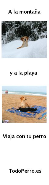 Viajar con perro