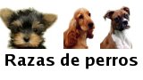 Razas de perros