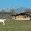 Cabañas Rurales de la Vera